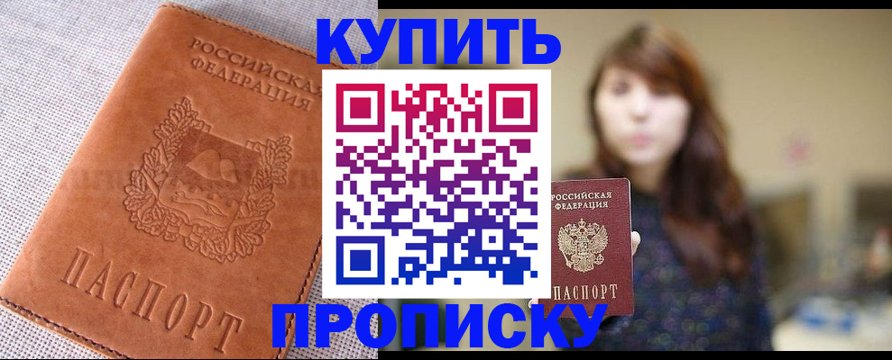 прописка поиск в Сольцах